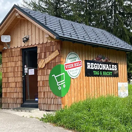 Heidi Daire Bad Goisern