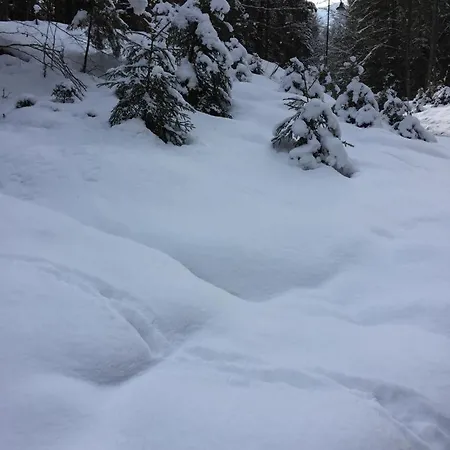 Heidi Daire Bad Goisern