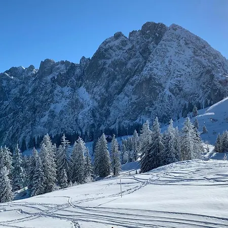 Daire Heidi Bad Goisern