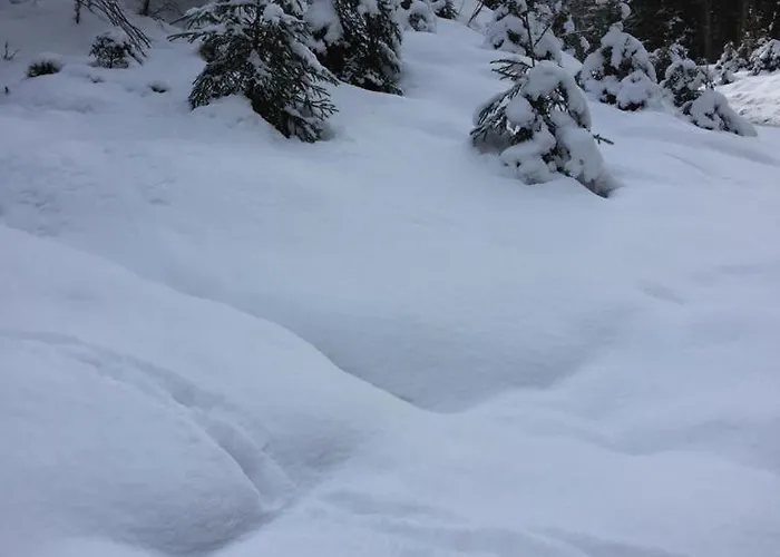 Heidi Appartement Bad Goisern