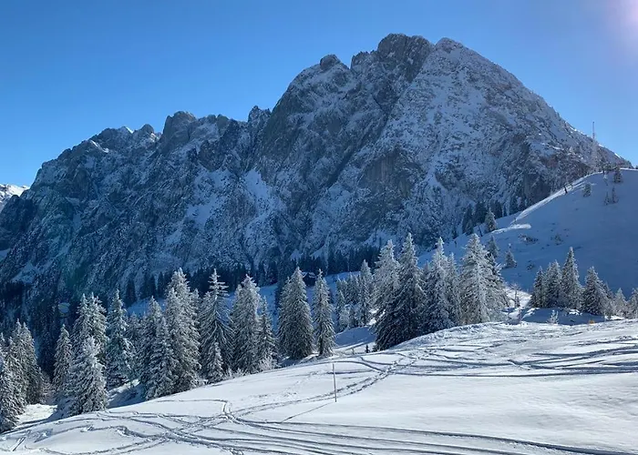 Apartmán Heidi Bad Goisern